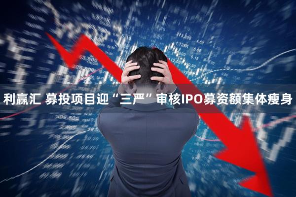 利赢汇 募投项目迎“三严”审核IPO募资额集体瘦身