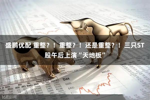 盛鹏优配 重整?!重整?!还是重整?!三只ST股午后上演“天地板”