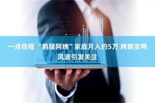 一点钱程 “鹅腿阿姨”家庭月入约5万 烤鹅变鸭风波引发关注